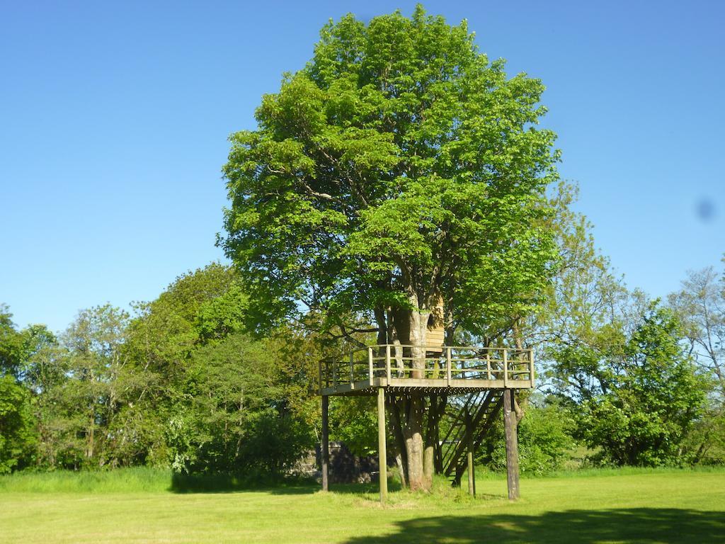 Hotel Newmoor Park à Launceston Extérieur photo