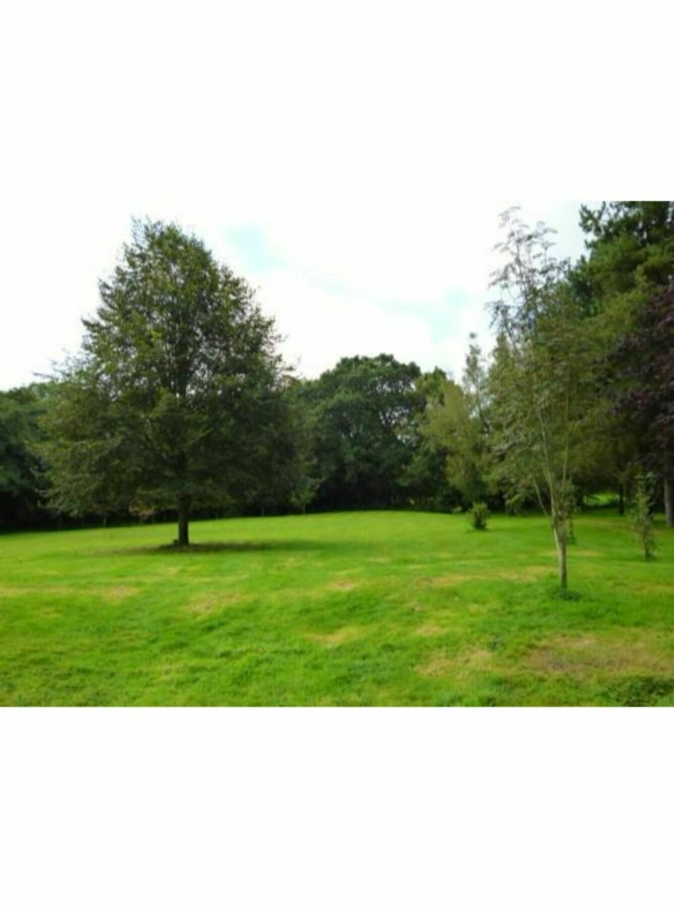 Hotel Newmoor Park à Launceston Extérieur photo
